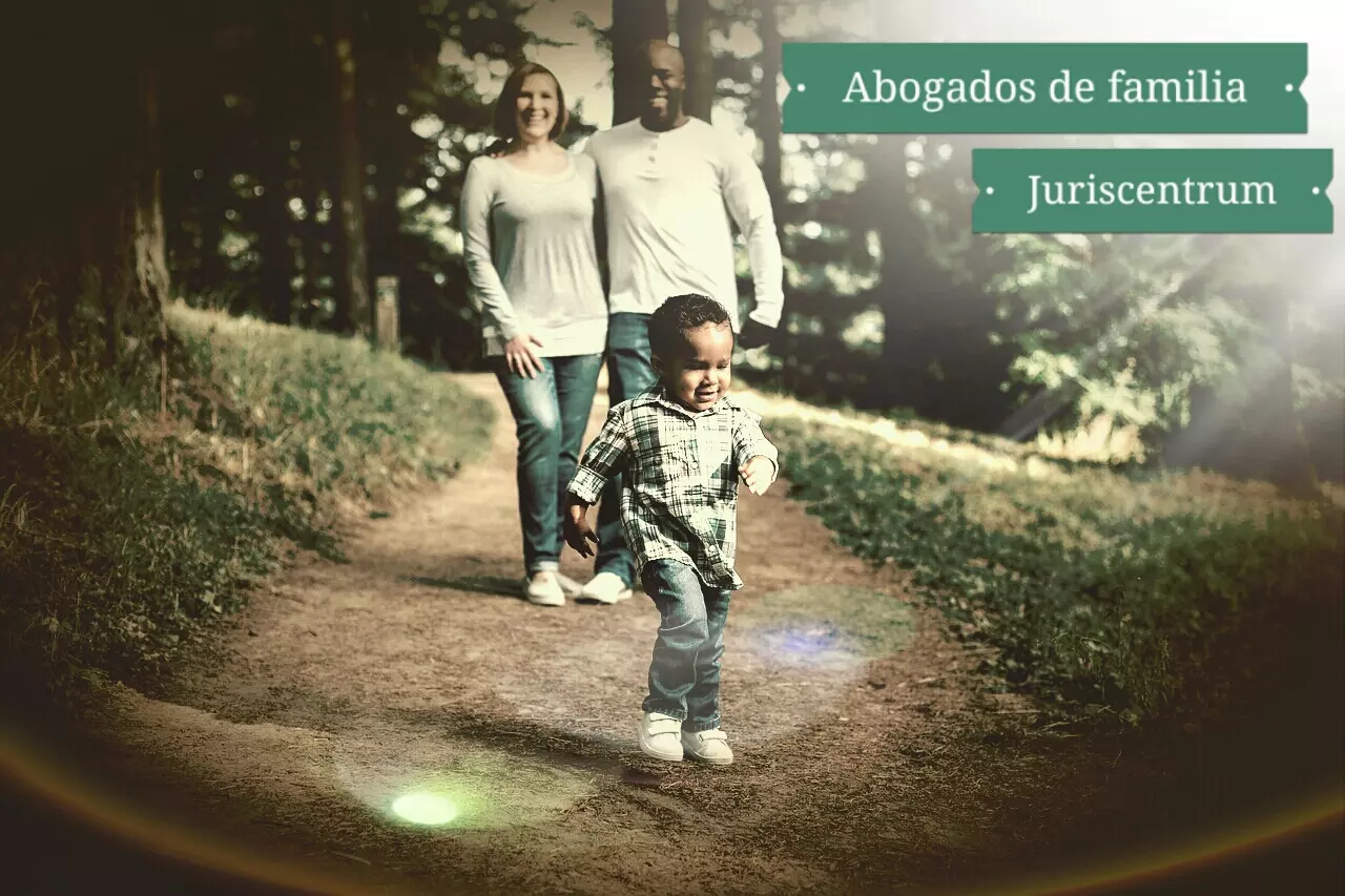Abogados de familia