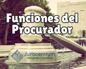 Cuáles son las funciones del procurador