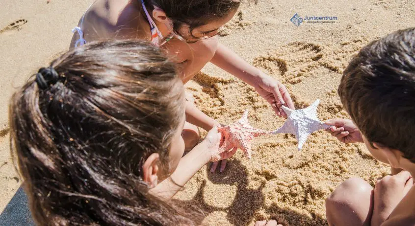 verano para hijos de padres divorciados